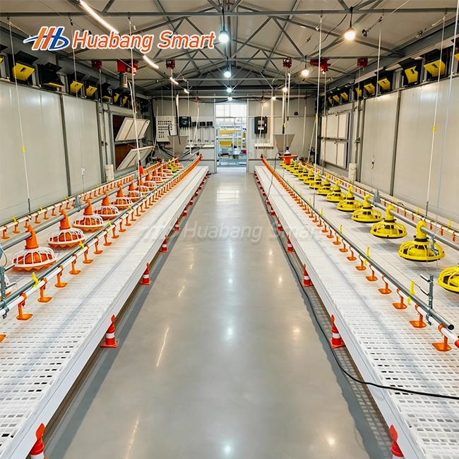Automatic Chicken Feeder System